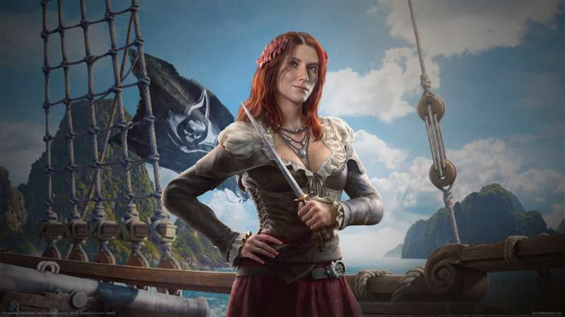 Assassin's Creed: Black Flag Resynced wallpaper or background
