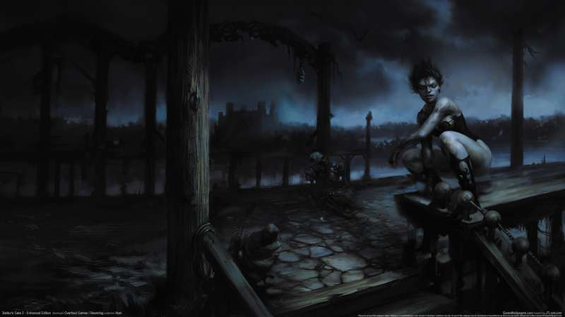 Baldur's Gate 2 - Enhanced Edition wallpaper or background
