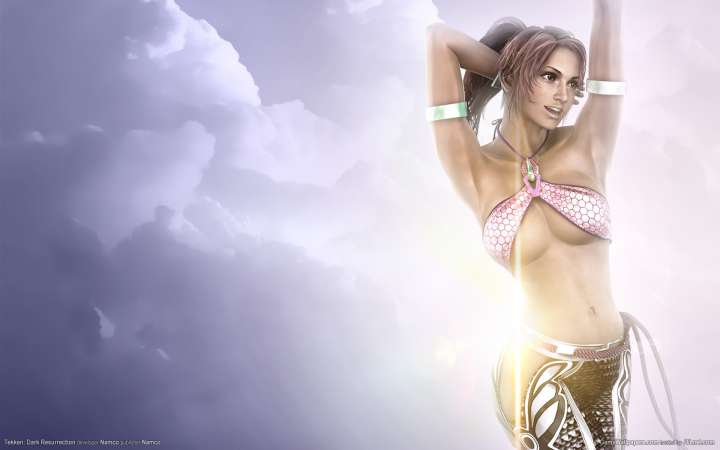 Tekken: Dark Resurrection wallpaper or background