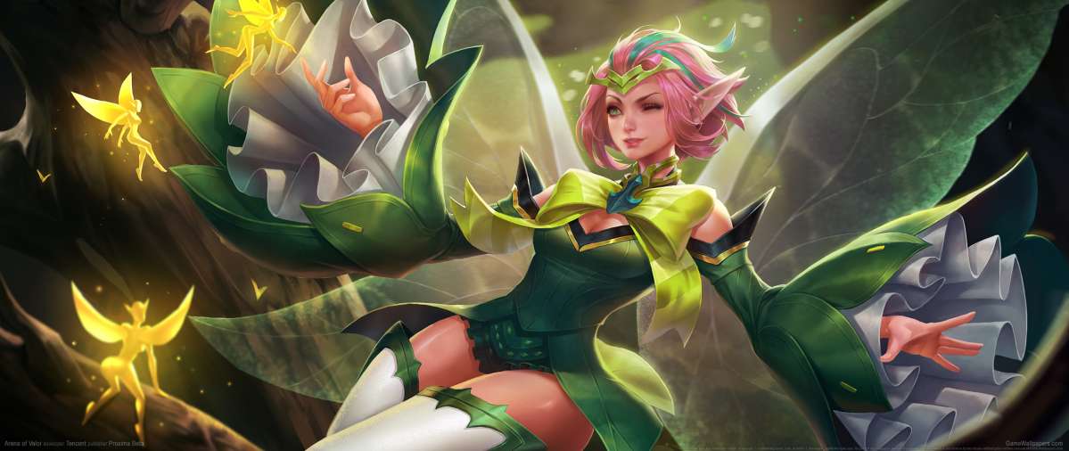 Arena of Valor wallpaper or background