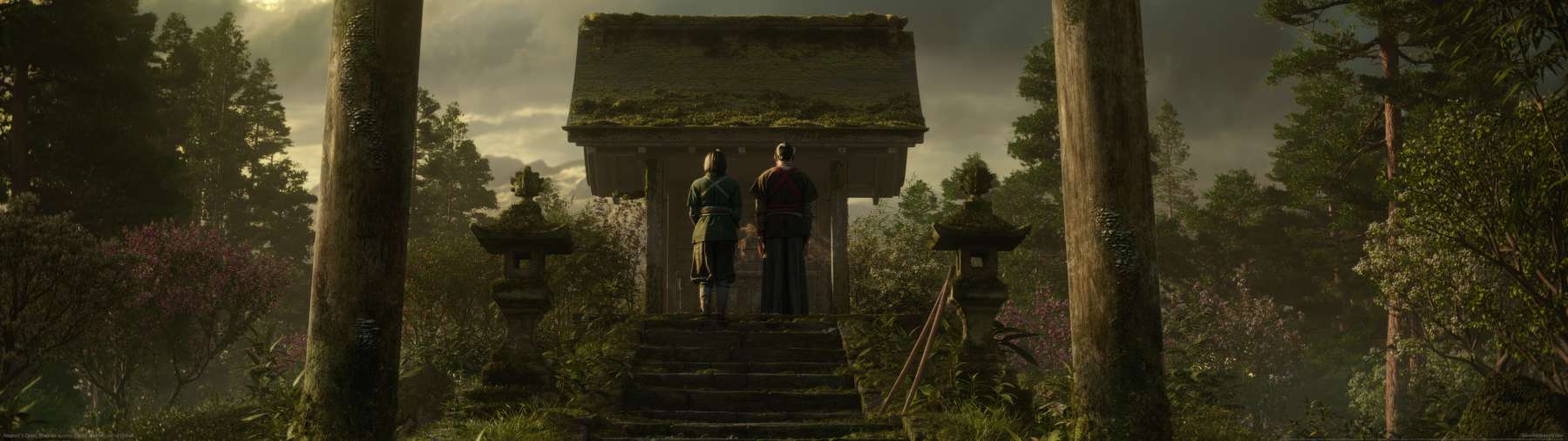 Assassin's Creed: Shadows wallpaper or background