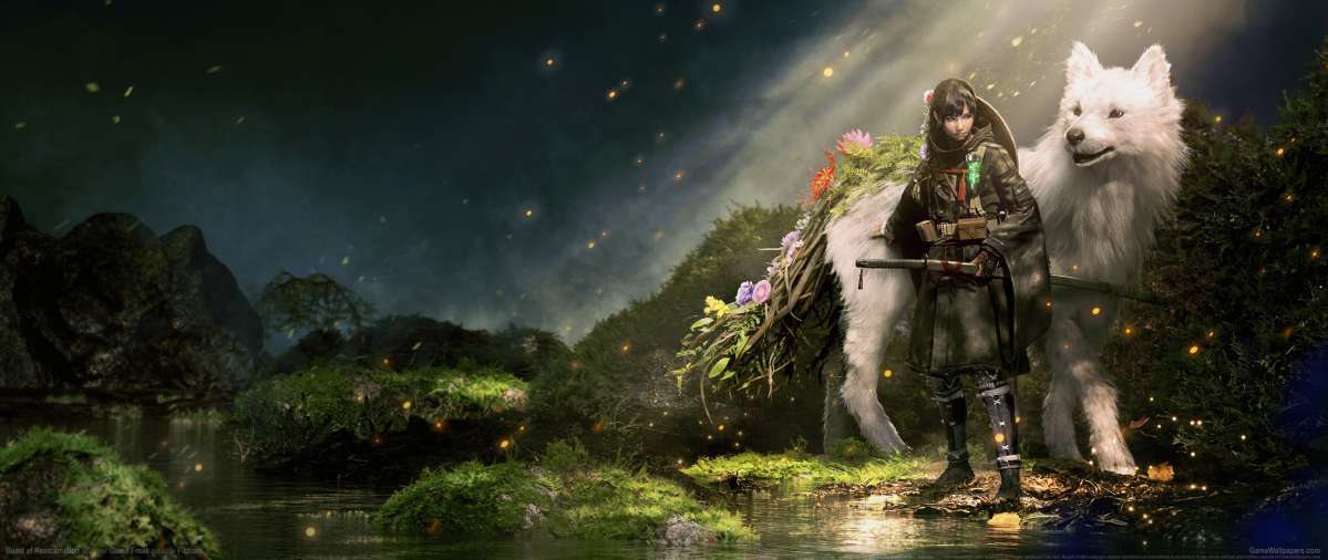 Beast of Reincarnation wallpaper or background