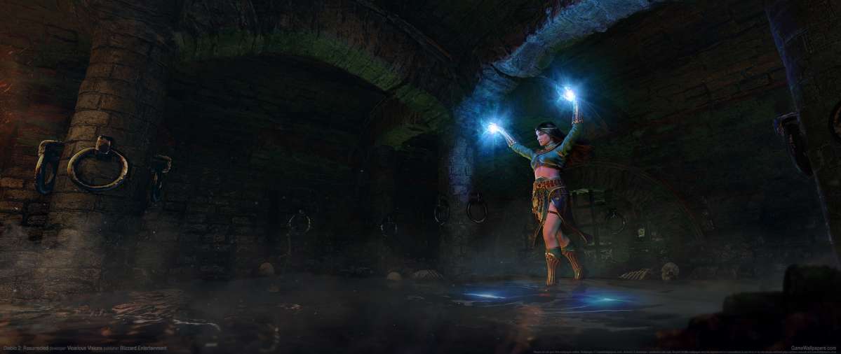 Diablo 2: Resurrected wallpaper or background