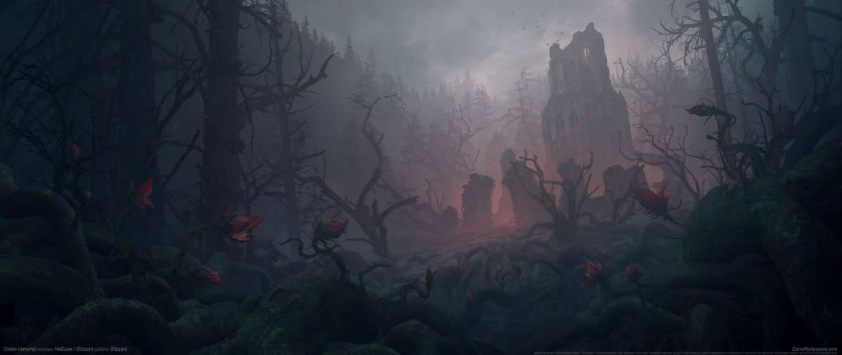Diablo Immortal wallpaper or background
