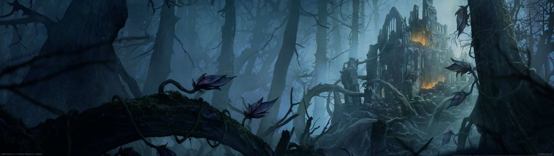 Diablo Immortal superwide wallpaper or background 39