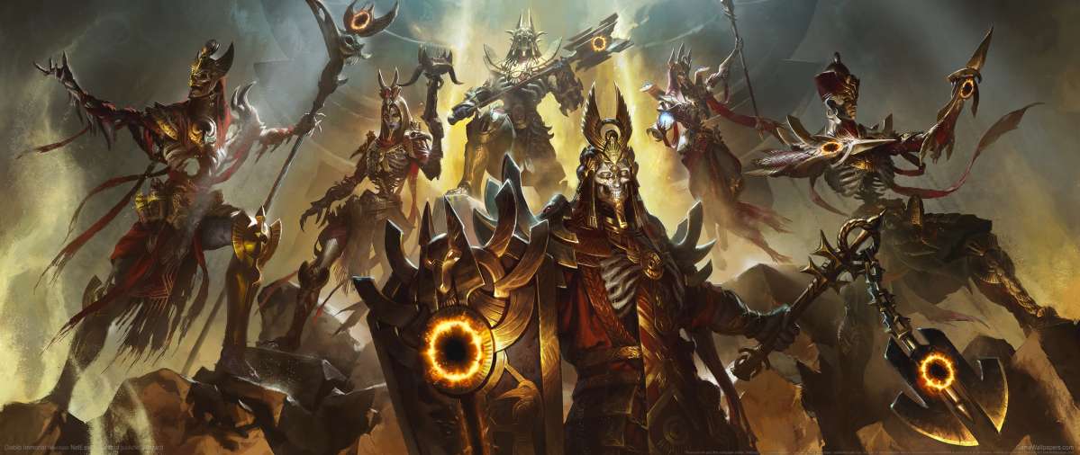 Diablo Immortal ultrawide wallpaper or background 50