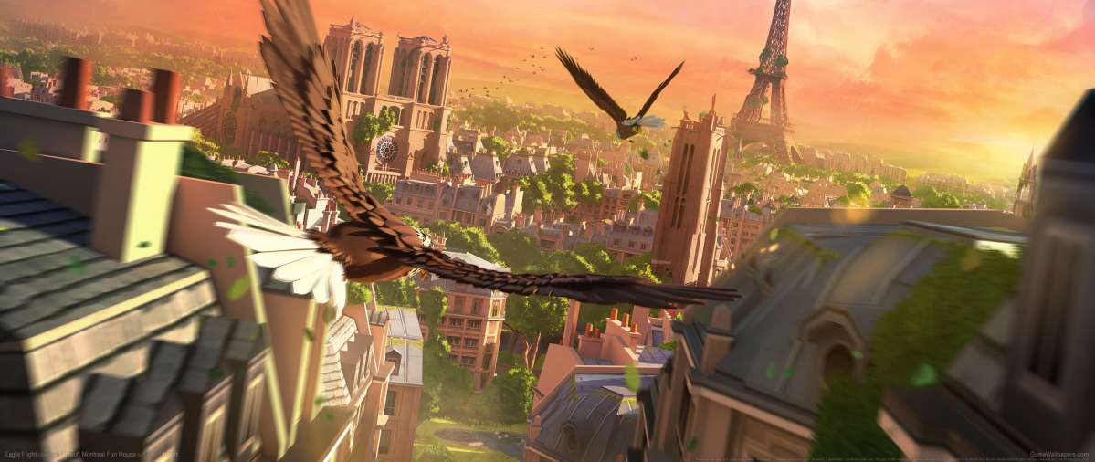 Eagle Flight wallpaper or background