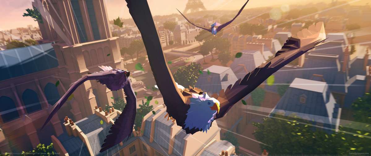 Eagle Flight ultrawide wallpaper or background 02