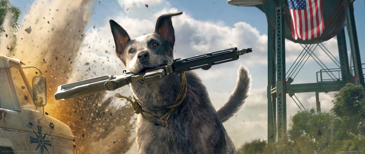 Far Cry 5 wallpaper or background