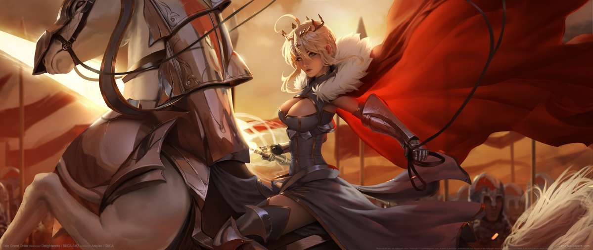Fate Grand Order wallpaper or background