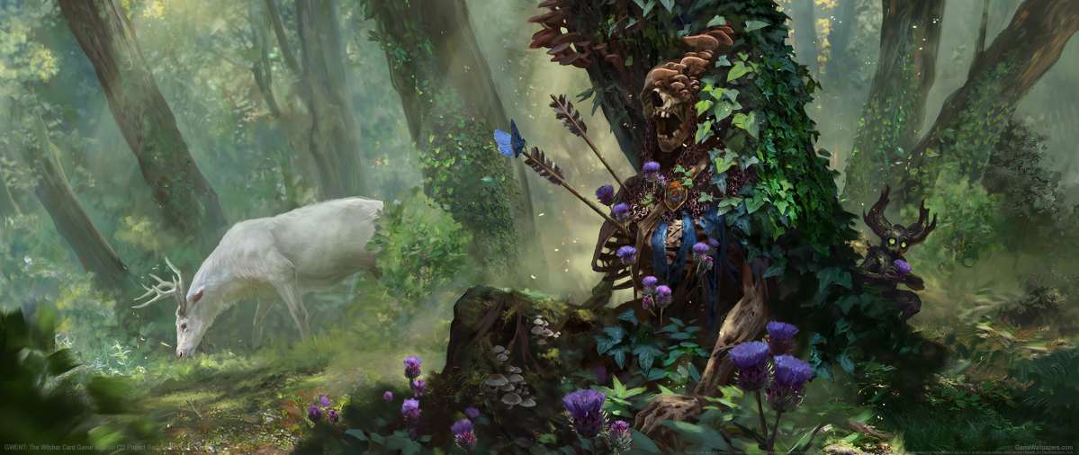 GWENT: The Witcher Card Game ultrawide wallpaper or background 10