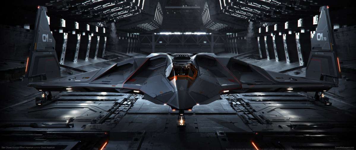 Star Citizen wallpaper or background