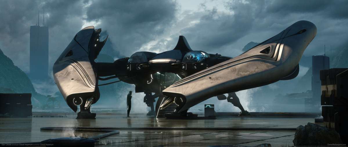 Star Citizen wallpaper or background