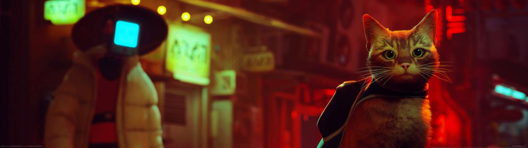 Stray wallpaper or background