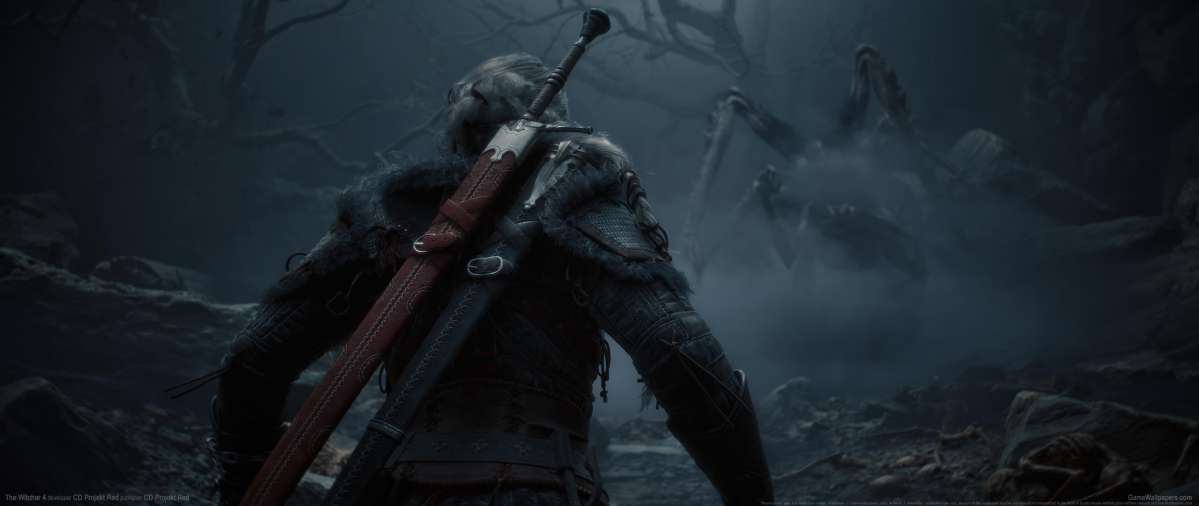The Witcher 4 wallpaper or background