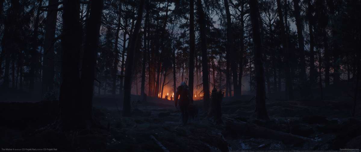 The Witcher 4 wallpaper or background