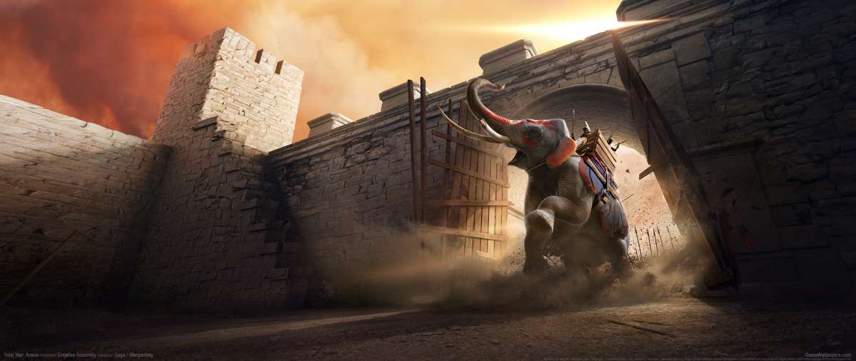 Total War: Arena wallpaper or background